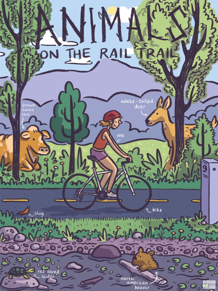 Animals on the Rail Trail