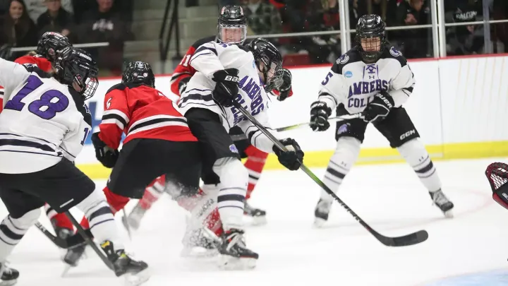 Some Joy in Mudville: Hockey Spirits High Despite Loss